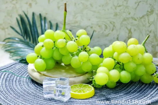 陽(yáng)光玫瑰葡萄怎么辨別真假(陽(yáng)光玫瑰葡萄幾月份上市)(圖3) 陽(yáng)光玫瑰葡萄怎么辨別真假3