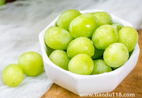 陽光玫瑰葡萄和晴王葡萄是一個品種嗎(吃陽光玫瑰有什么好處)(圖3) 陽光玫瑰葡萄和晴王葡萄是一個品種嗎3
