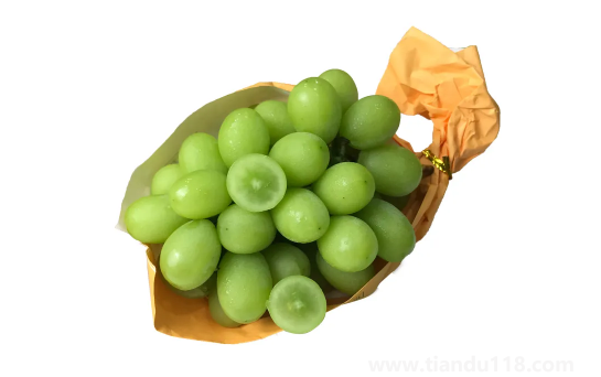 陽光玫瑰葡萄和晴王葡萄哪個價格貴(晴王葡萄多少錢一斤)(圖2) 陽光玫瑰葡萄和晴王葡萄哪個價格貴2