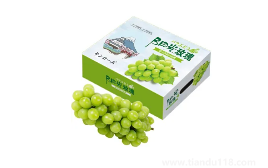 陽光玫瑰葡萄和晴王葡萄哪個(gè)價(jià)格貴（晴王葡萄多少錢一斤）