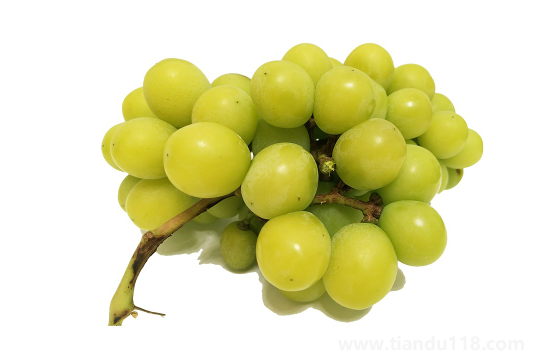 陽光玫瑰葡萄和晴王葡萄哪個價格貴(晴王葡萄多少錢一斤)(圖3) 陽光玫瑰葡萄和晴王葡萄哪個價格貴3
