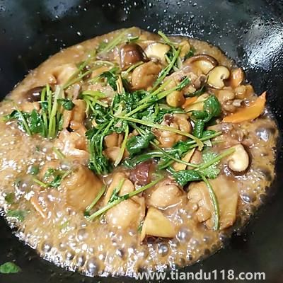 三杯雞的做法(三杯雞怎么做)(圖11) 三杯雞的做法(三杯雞怎么做)(圖11)