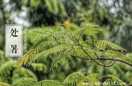 2022年處暑是農(nóng)歷哪一天星期幾(處暑什么養(yǎng)生)(圖1) 2022年處暑是農(nóng)歷哪一天星期幾1