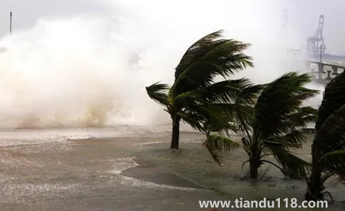 2022年為什么臺風(fēng)這么少(臺風(fēng)來了怎么辦)(圖3) 2022年為什么臺風(fēng)這么少3