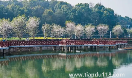 2022國慶開車去長(zhǎng)沙是1號(hào)走好還是30號(hào)晚上好(國慶開車去長(zhǎng)沙什么時(shí)候堵車厲害)(圖3) 2022國慶開車去長(zhǎng)沙是1號(hào)走好還是30號(hào)晚上好3