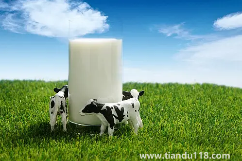 牛初乳的功效與作用及副作用(牛初乳怎么吃效果好)(圖2) 牛初乳的功效與作用及副作用2