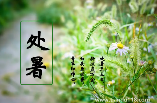 2022年處暑是幾月幾號(hào)幾點(diǎn)幾分幾秒鐘(處暑吃什么)(圖3) 2022年處暑是幾月幾號(hào)幾點(diǎn)幾分幾秒鐘3