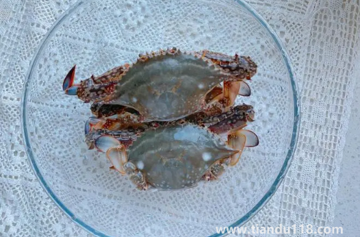 梭子蟹幾月份最便宜（梭子蟹多少錢一斤）