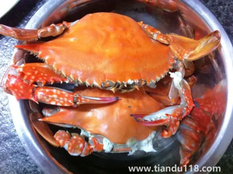 清蒸梭子蟹是做好再切還是先切(清蒸梭子蟹的做法)(圖3) 清蒸梭子蟹是做好再切還是先切3