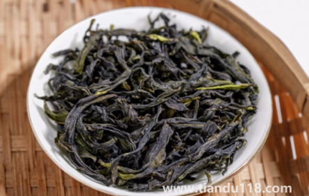 鴨屎香新茶好還是老茶好3