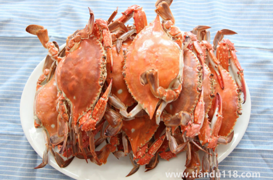 凍梭子蟹直接蒸還是解凍蒸（凍梭子蟹怎么蒸好吃）