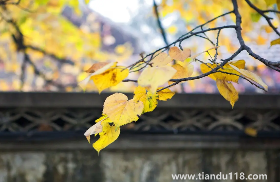 2022年中秋節(jié)后天氣還熱嗎(中秋節(jié)有什么講究)(圖2) 2022年中秋節(jié)后天氣還熱嗎2