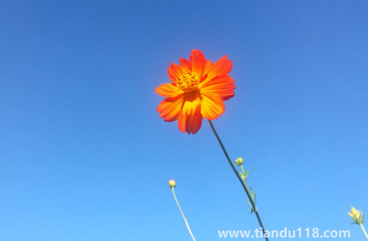 2022年中秋節(jié)后天氣還熱嗎(中秋節(jié)有什么講究)(圖3) 2022年中秋節(jié)后天氣還熱嗎3