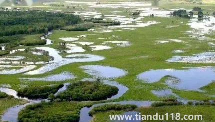 ?黑龍江9月份有雪嗎(黑龍江下雪下到幾月份)(圖2) 黑龍江9月份有雪嗎2