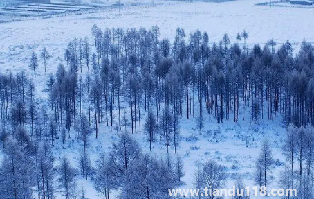 2022黑龍江9月份要穿棉襖嗎(9月份適不適合去黑龍江)(圖2) 2022黑龍江9月份要穿棉襖嗎2