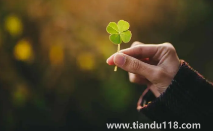 2023年兔年旺月是幾月(兔年2023年的運勢怎么樣)(圖2) 2023年兔年旺月是幾月2