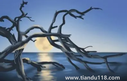 2023年兔年犯月是幾月2