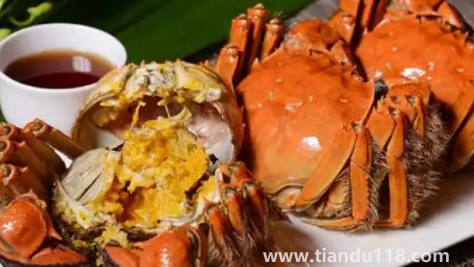 2022陽澄湖大閘蟹十月份才上市嗎(陽澄湖大閘蟹多少錢一個(gè))(圖3) 2022陽澄湖大閘蟹十月份才上市嗎3