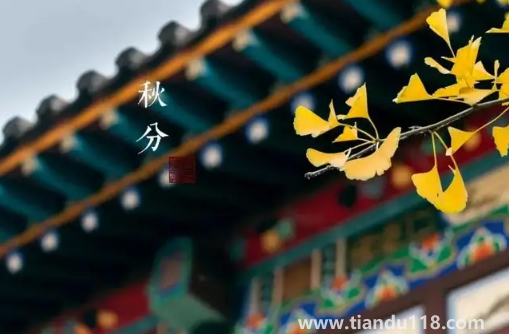 2022年秋分是農(nóng)歷幾月幾號幾點幾分幾秒(秋分怎么養(yǎng)生)(圖3) 2022年秋分是農(nóng)歷幾月幾號幾點幾分幾秒3