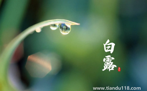 2022年白露在什么時間幾點幾分幾秒鐘(白露怎么養(yǎng)生)(圖1) 2022年白露在什么時間幾點幾分幾秒鐘1