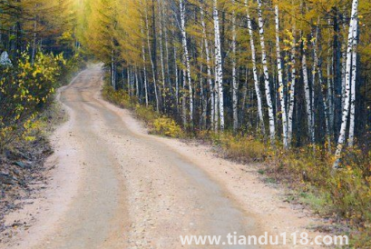 漠河九月份有極光嗎2