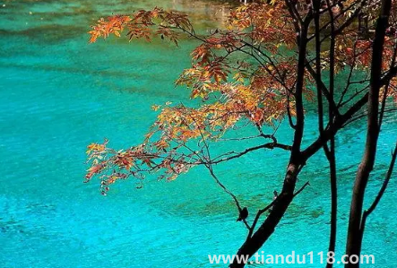 九寨溝今年國慶節(jié)開放嗎20223