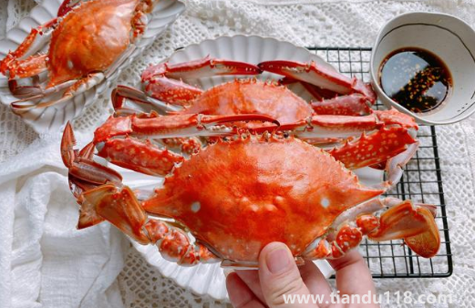 梭子蟹哪種好吃（梭子蟹的盛產(chǎn)時間是什么時候）