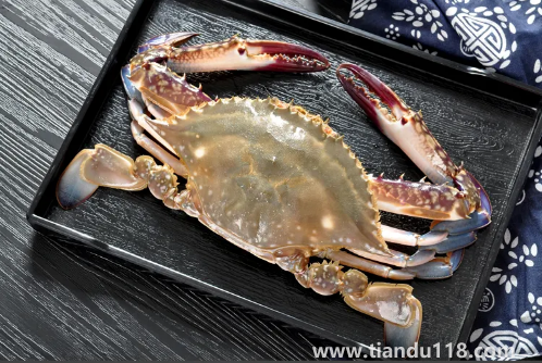 昨天買的梭子蟹今天不動了能吃嗎(活的梭子蟹怎么保存)(圖3) 昨天買的梭子蟹今天不動了能吃嗎3