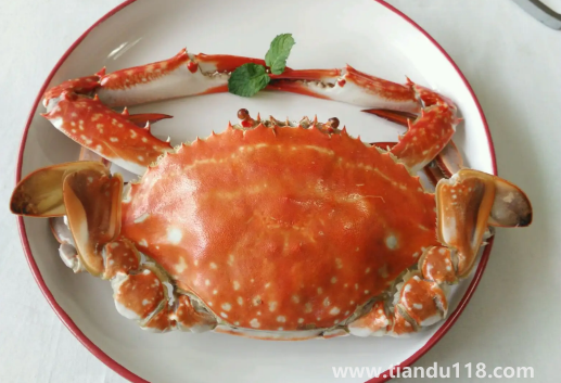 梭子蟹有苦味怎么回事(吃梭子蟹的注意事項(xiàng))(圖2) 梭子蟹有苦味怎么回事2