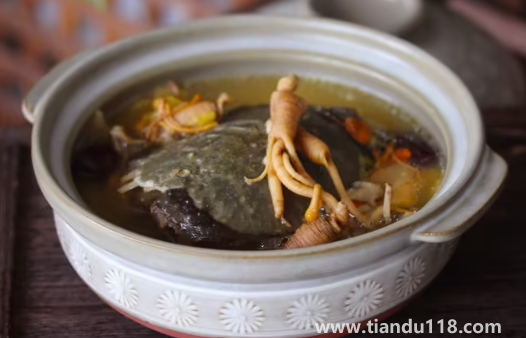 甲魚(yú)湯怎么做好喝又營(yíng)養(yǎng)（甲魚(yú)湯的功效與作用）