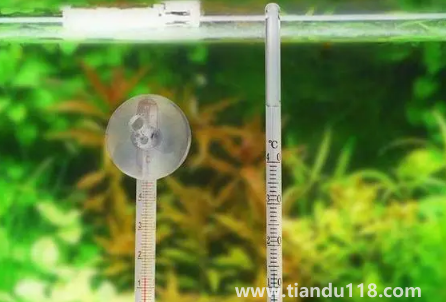 2022年南京10月份溫度是多少(十月份南京穿什么衣服合適)(圖1) 2022年南京10月份溫度是多少1