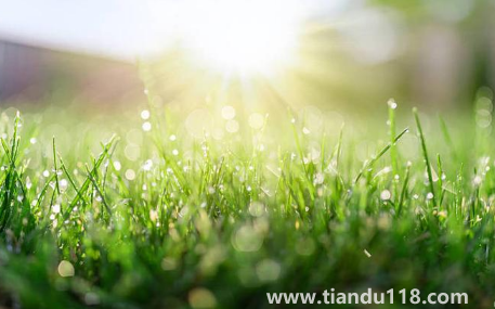 2022北京的冬天什么時(shí)候開始冷(北京的冬天多長時(shí)間)(圖3) 2022北京的冬天什么時(shí)候開始冷3