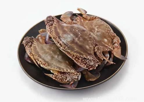 網(wǎng)上買(mǎi)梭子蟹是活的還是死的(梭子蟹寄過(guò)來(lái)死了能吃嗎)(圖2) 網(wǎng)上買(mǎi)梭子蟹是活的還是死的2