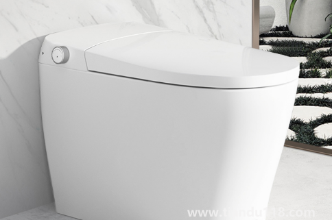 馬桶位置只有60厘米寬夠用嗎(坑距350選300還是400的馬桶)(圖3) 馬桶位置只有60厘米寬夠用嗎3