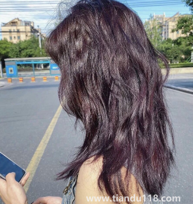 黑紫色和黑加侖紫是一個顏色嗎(秋冬染黑紫色好看嗎)(圖2) 黑紫色和黑加侖紫是一個顏色嗎2