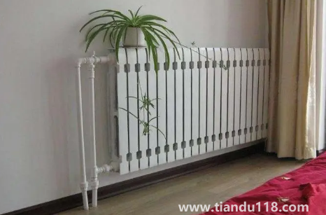 南京冬季1月冷還是2月冷(南京冬天冷嗎)(圖1) 南京冬季1月冷還是2月冷1