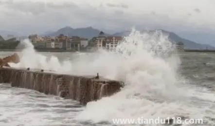 2022年臺風梅花什么時候登錄山東(梅花臺風什么時候到山東)(圖1) 2022年臺風梅花什么時候登錄山東1