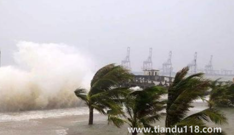 2022年臺風(fēng)梅花會影響浙江嗎(如何預(yù)防臺風(fēng)天)(圖3) 2022年臺風(fēng)梅花會影響浙江嗎3