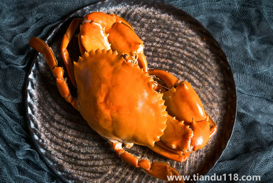 青蟹是梭子蟹的一種嗎(吃螃蟹的注意事項)(圖2) 青蟹是梭子蟹的一種嗎2