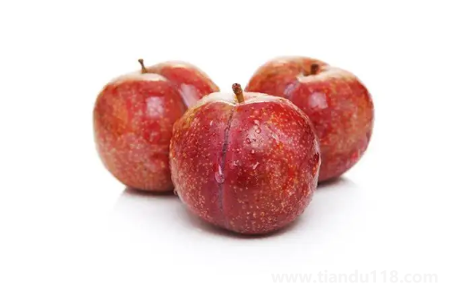 三華李和雙華李哪個更甜(李子不適合什么人吃)(圖2) 三華李和雙華李哪個更甜2