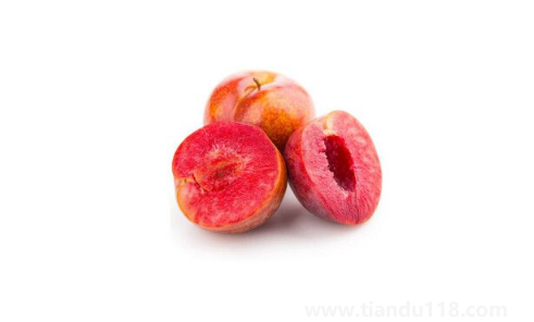 三華李的功效與作用(三華李怎么吃)(圖2) 三華李的功效與作用2