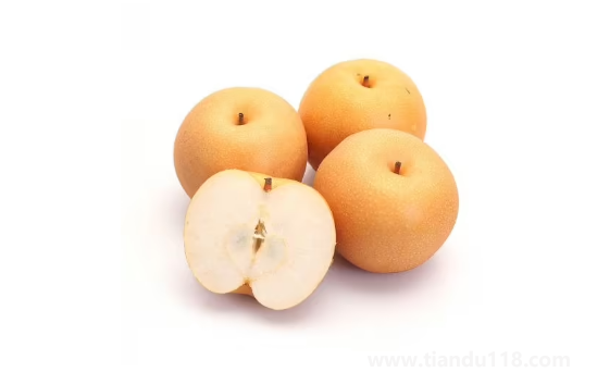 秋月梨可以放冰箱冷藏嗎（秋月梨產地是哪里）