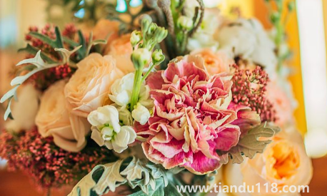 結(jié)婚不過(guò)百天不能送親2