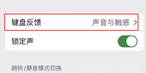 ios16鍵盤震動(dòng)怎么開(為什么只有iPhone14pro系列支持息屏顯示)(圖3) ios16鍵盤震動(dòng)怎么開3