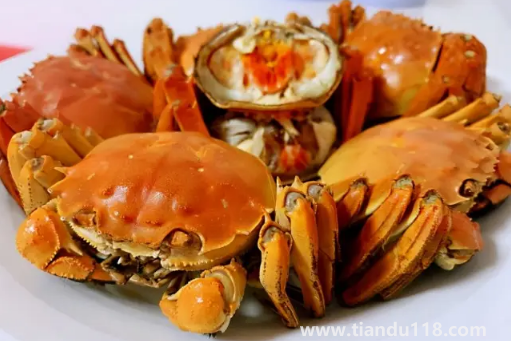 吃了螃蟹又吃了柿子怎么辦(柿子和螃蟹一起吃會怎么樣)(圖2) 吃了螃蟹又吃了柿子怎么辦2