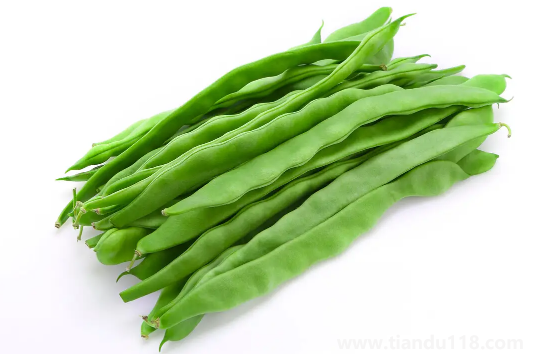 扁豆角的功效和作用及禁忌(扁豆角怎么吃好)(圖3) 扁豆角的功效和作用及禁忌3