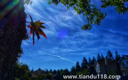 云南11月份溫度一般是多少（十一月份的云南應該帶什么衣服）