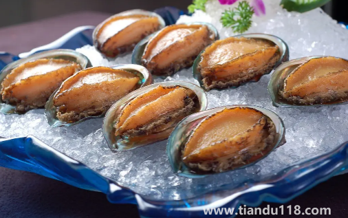 冷凍鮑魚先解凍還是先煮一下（鮑魚冷凍可以存放多久）