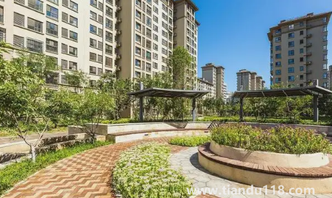 樓房最后一排是無靠山嗎1