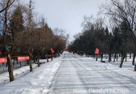 2023年哈爾濱1月份會(huì)下雪嗎3